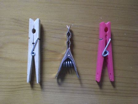 home grown journal   clothespin
