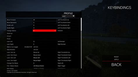 keybindings dayz interface  game