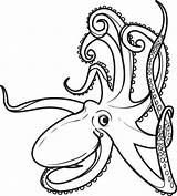 Coloring Octopus Pages Squid Color Printable Colouring Kids Drawing Mandala Outline Realistic Print Animal Clipart Ocean Sheets Oswald Rabbit Lucky sketch template