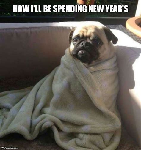 8 funny new year s eve memes to keep you laughing into