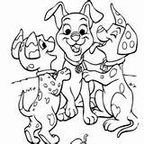 Carinhosos Cachorros Carinha Sorriso Desenho sketch template