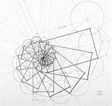 Ratio Araujo Fibonacci Draws Draw Inverse Sacred sketch template