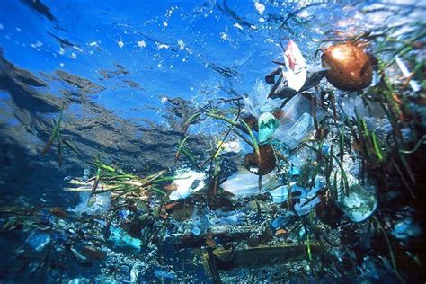 plastic ruining  ocean