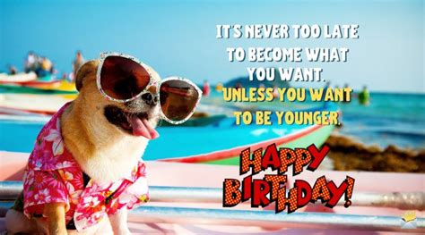 happy bday amigo birthday quotes   friend smart zune