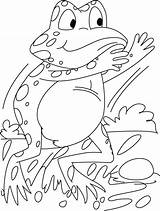 Frog Coloring Pages Startling sketch template