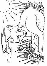 Vossen Foxes Kleurplaten Kleurplaat Colorat Fuchs Colorare Renard Zorro Animale Dieren Dibujos Malvorlage Vulpi Mewarnai P15 Animierte Planse Rubah Animasi sketch template
