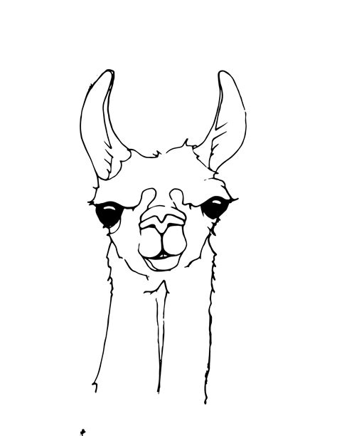 love coloring pages animal coloring pages llama tattoo alpaca