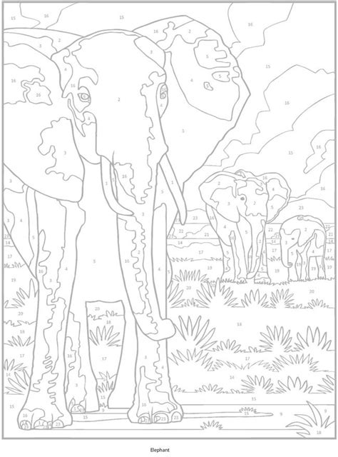dover publications lion coloring pages animal coloring