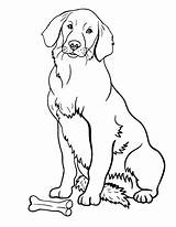 Retriever Golden Labrador Dog Coloring Puppy Pages Drawing Printable Värityskuvia Drawings Puppies Tulostettavia Sitting Getdrawings Book Koirat Väritystehtäviä Koira Pixshark sketch template