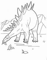 Stegosaurus Colorir Coloriage Colorkid Dinosaurier sketch template