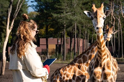 men  safaripark beekse bergen background utrecht university