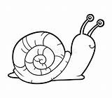 Snail Pages Escargot Coloriage Caracol Caracoles Shell Coloration Getcolorings Livre Abejas Slugs sketch template