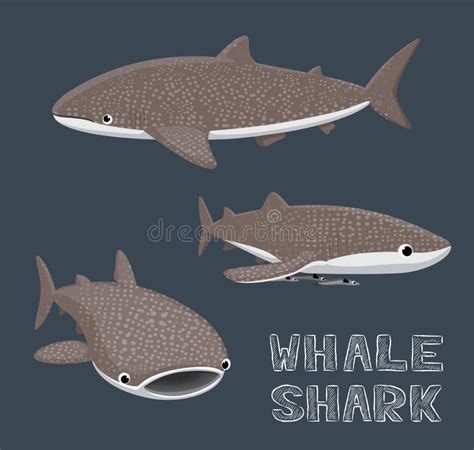 whale shark cartoon vector illustration stock vector image