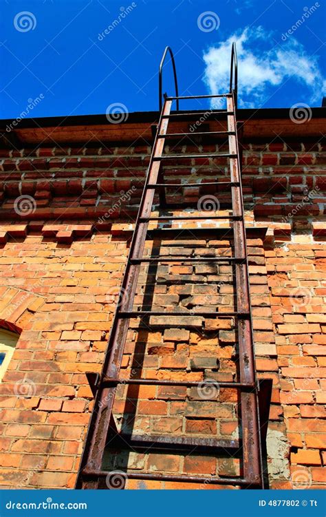 fire ladder stock photo image  industry construction