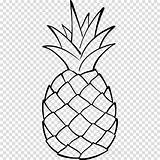 Pineapple Ananas sketch template