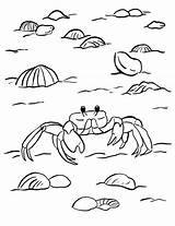 Crab Caranguejo Pintar Crabs Coloring Maryland Getdrawings sketch template