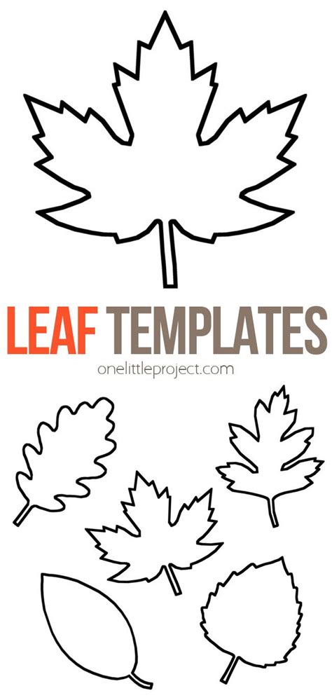 leaf template fall leaf template leaf template leaves template