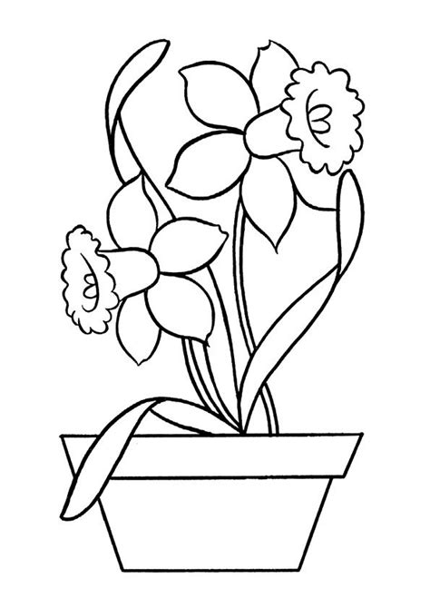 flower easy coloring pages  seniors coloring page coloring pages