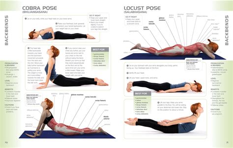 anatomy yoga books background