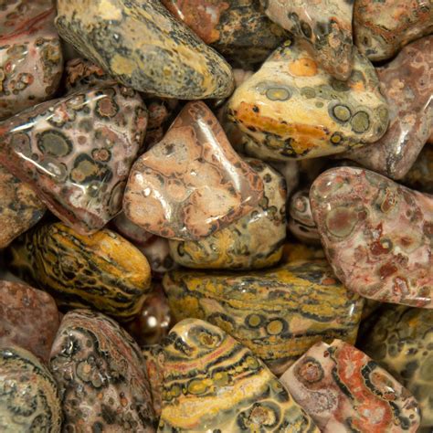 leopard skin jasper tumbled stones  mexico garys gem garden
