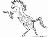 Horse Appaloosa sketch template