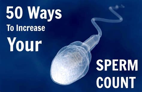 how to increase your sperm count menprovement