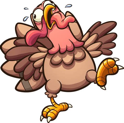 Best Running Scared Turkey Illustrations Royalty Free