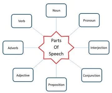 parts  speech  examples wittychimp