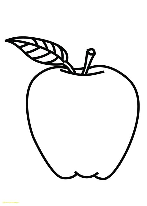 apple outline drawing  paintingvalleycom explore collection