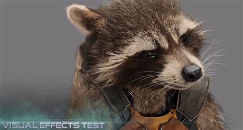 Meet Rocket Raccoon Bradley Cooper S Guardians Of The Galaxy Character