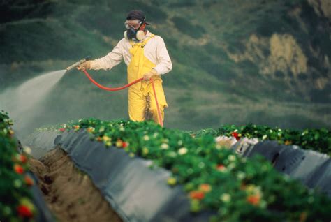 pesticides  earth  citizens  earth