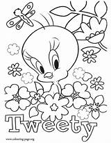 Coloring Pages Tweety Flowers Bird Butterfly Flower Colouring Butterflies Printable Cool Baby Adults Surrounded Beautiful Cute Sheets Clipart Fun Books sketch template