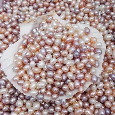 natural freshwater pearls oyster  hole  mm bright rice shaped