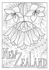 Colouring National Flower Zealand Samoa sketch template