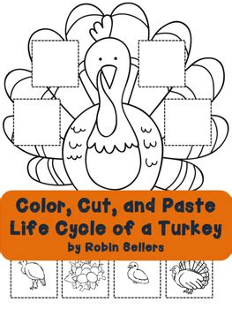 turkey life cycle activity  robin sellers teachers pay teachers