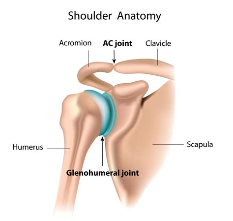acromioclavicular joint pain acj complete physio