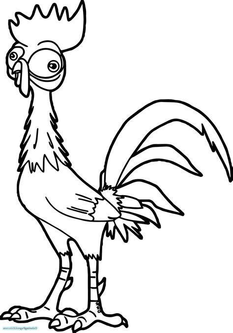 moana coloring pages heihei  worksheets sketch coloring page moana