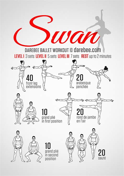 Ballet Swan Workout Dancer Workout Ballet Workout Ballet Exercises