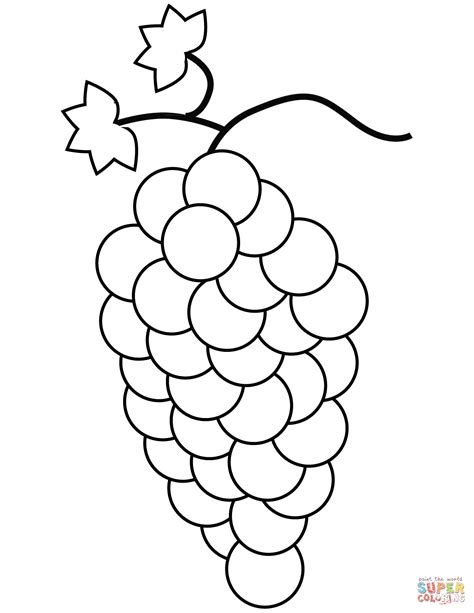 grapes coloring page  printable coloring pages