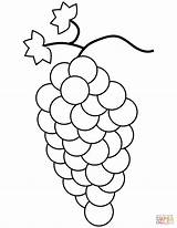 Grapes Coloring Pages Kids Bunch Fruit Printable Fruits Grape Colouring Color Drawing Crafts Medium sketch template