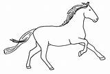 Colorat Desene Planse Imagini Cai Cheval Animale Domestice Calul 2196 Animaux Horses Fise Imaginea Educative Trafic Aripi Ponei Coloriages Caruta sketch template