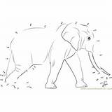 Elephant Dot Sri Lankan Dots Connect Worksheet Kids Printable Worksheets sketch template