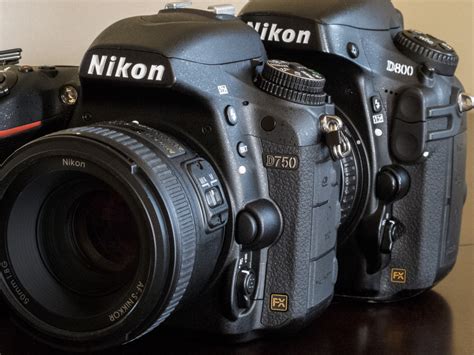 nikon  review downgrading    kevin young photography