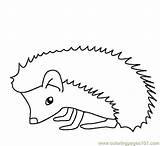 Hedgehog Coloring Pages Results Hedgehogs Printable sketch template