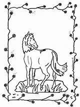 Cavalos Caballo Ausmalbilder Pferd Paard Fargelegg Horse Cheval Hester Pferde Nukleuren Jetztmalen Annonse Caballos Chevaux Paarden Descargar Publicidade Advertentie Anzeige sketch template