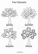 Seasons Four Coloring Tree Activities Pages Winter Colouring Printable Kids Spring Sheets Grade Booklet sketch template