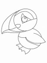 Puffin Coloring Cartoon Pages Puffins Ws sketch template