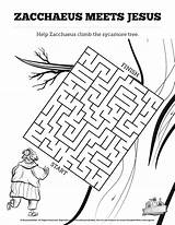 Zacchaeus Bible Tax Sunday Mazes Maze Collecter Zacheus sketch template