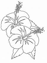 Hibiscus Coloring4free Bud Crafter sketch template