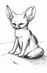 Fox Coloring Pages Desert Silence Waiting Netart sketch template